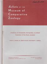 Bulletin of The Museum of Comparative Zoology