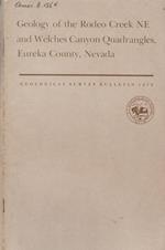 Geology of the Rodeo Creek NE and Welches Cayon Quadrangles, Eureka County, Nevada