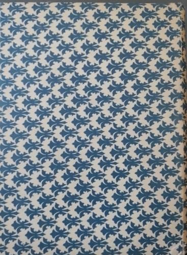 I filibustieri del Gran Golfo o Alessandro Braccio di Ferro - copertina