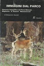 Immagini dal Parco. Itinerario fotografico nel Parco Naturale Migliarino, S. Rossore, Massaciuccoli