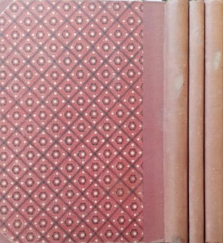 Garibaldi nella sua epoca. Periodo Primo dal 1807 al 1849 - Achille Bizzoni - copertina