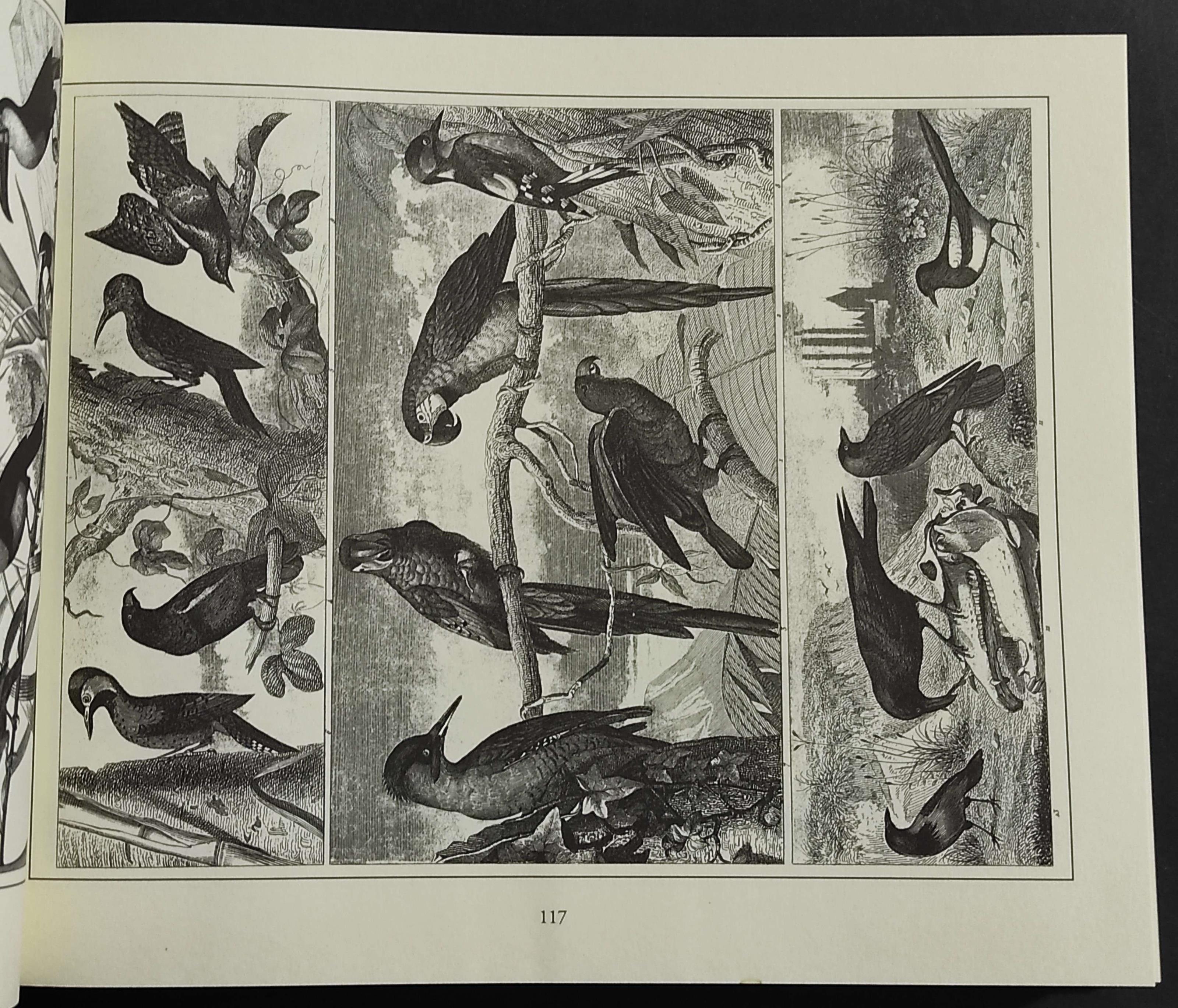 Enciclopedia Iconografica