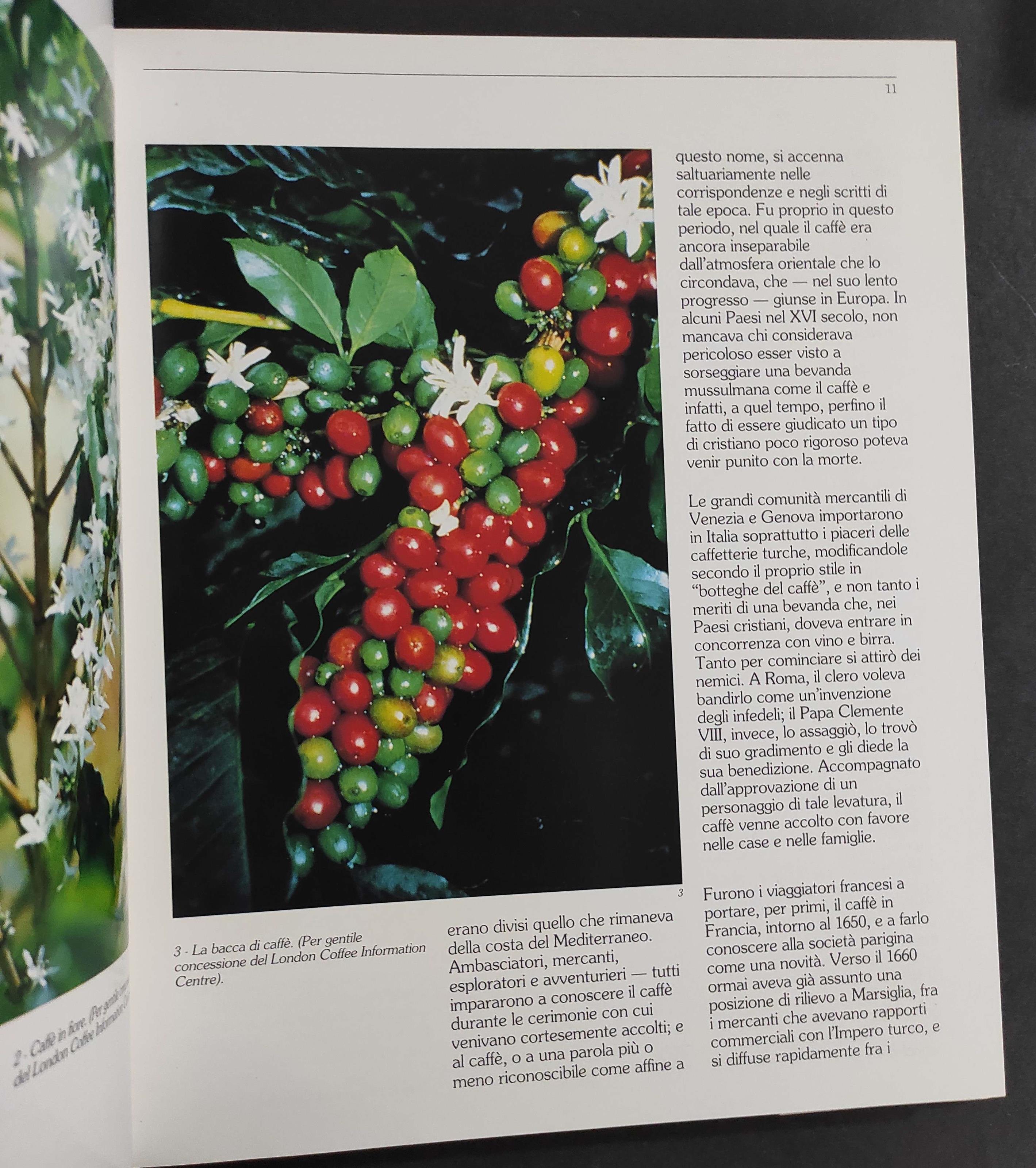 L' Arte di Fare il Caffè