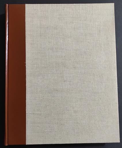 Basilica San Savino e le Origini del Romanico a Piacenza - Roberto Salvini - copertina