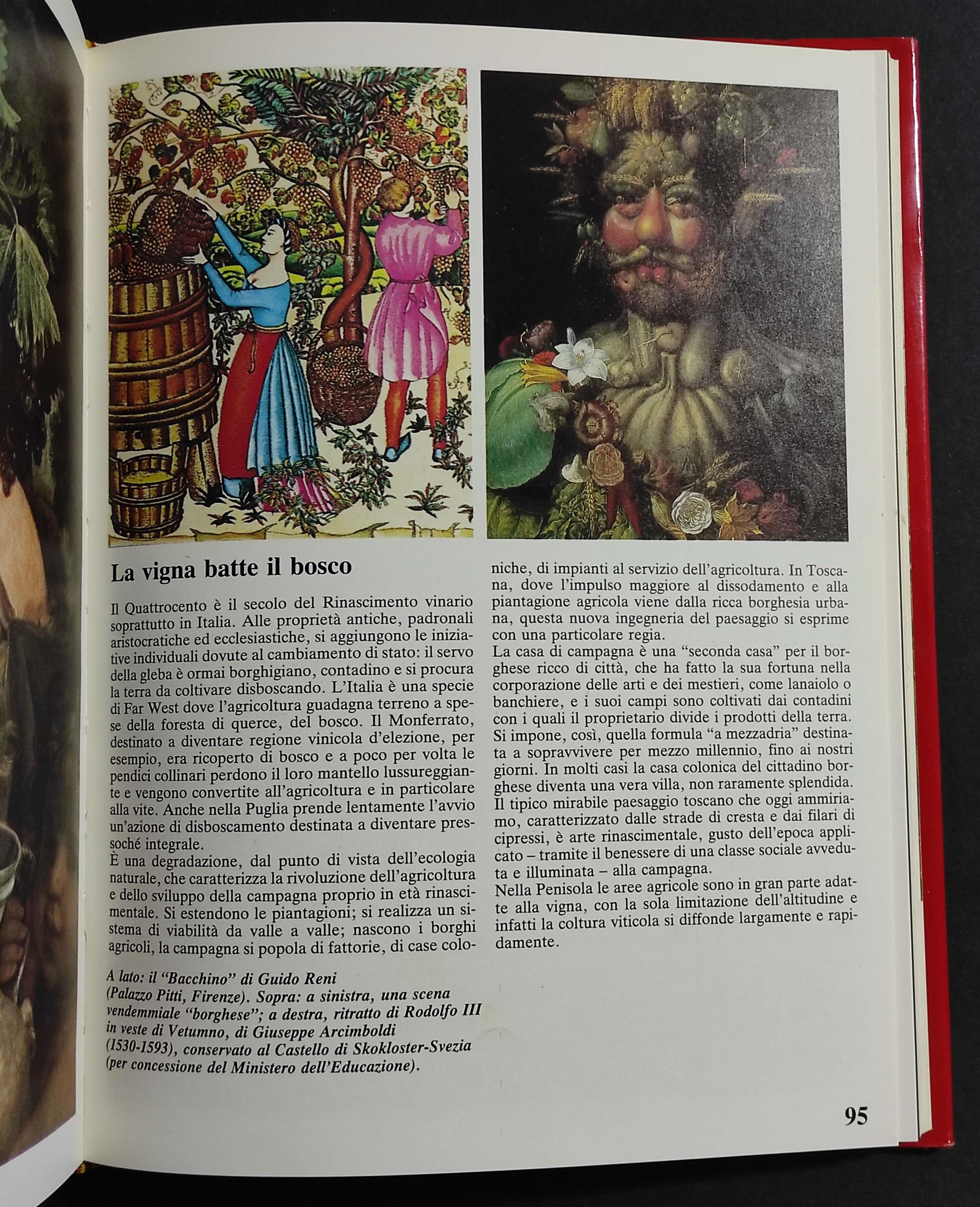 Il Vino nella Storia