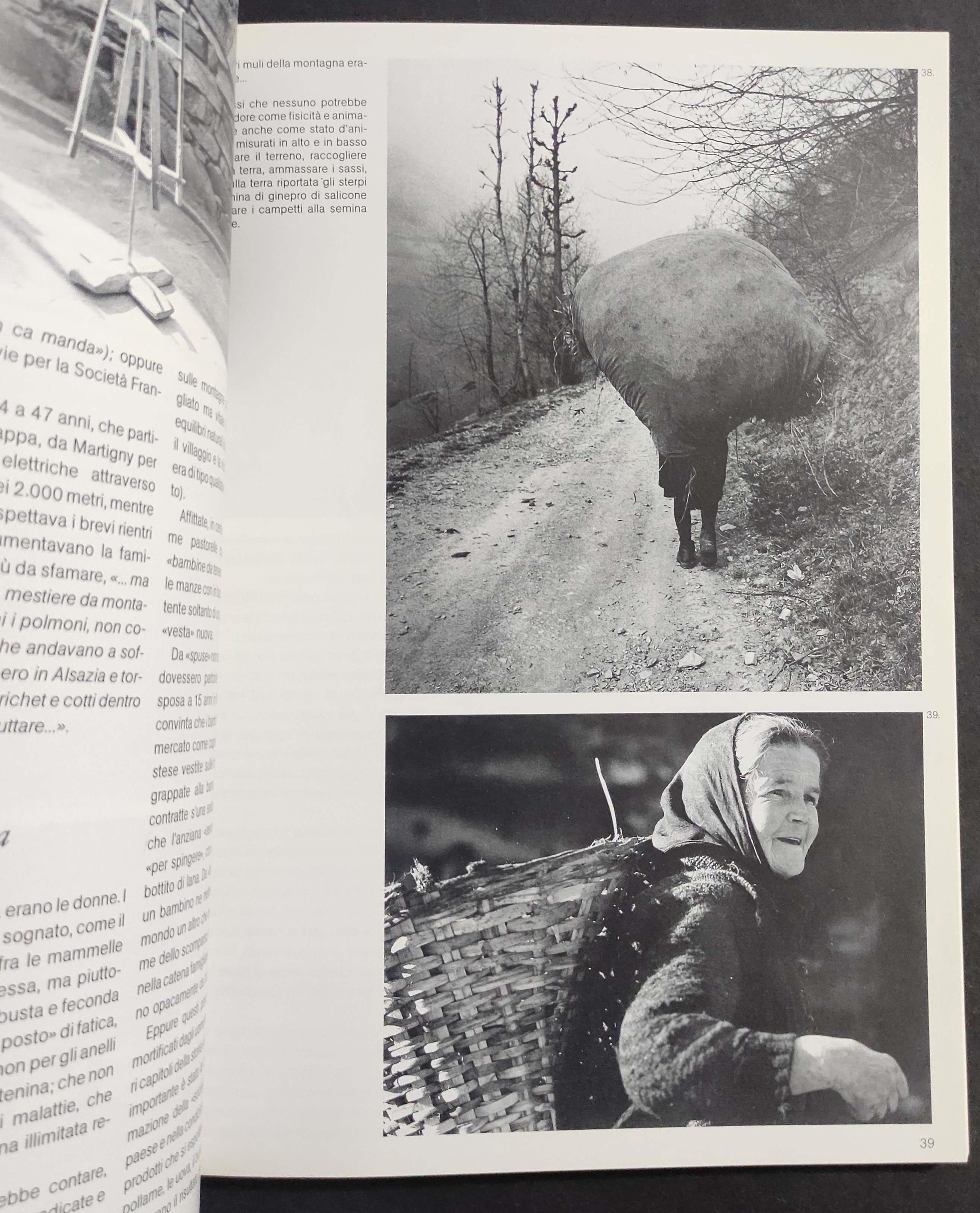 Gli Altri Mestieri delle Valli Alpine Occidentali