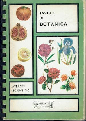 Tavole di botanica - copertina