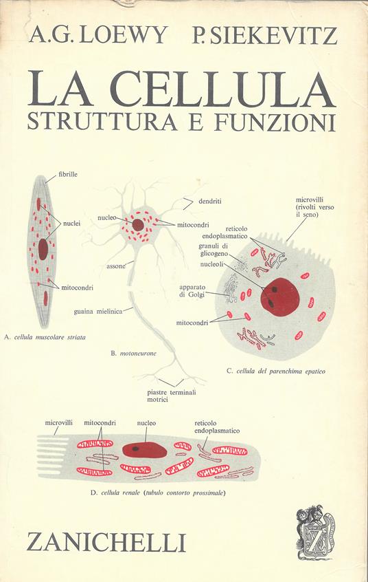 cellula struttura e funzioni - copertina