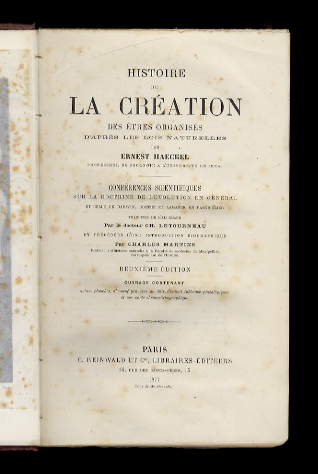 Libreria antiquaria Gozzini