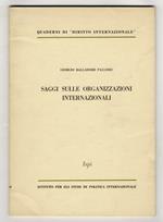 Saggi sulle organizzazioni internazionali