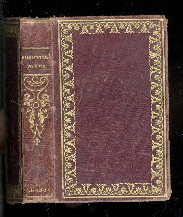 Libreria antiquaria Gozzini