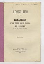 Allevamento puledri. Relazione letta al Consiglio Sanitario provinciale di Grosseto il dì 22 febbraio 1873