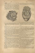 Dizionario di medicina e di terapeutica medica e chirurgica contenente (...) le indicazioni terapeutiche di ciascuna malattia, la medicina operatoria, l'oculistica, l'odontotecnica, l'otologia, l'elettroterapia, le acque minerali, ecc., ed un formula