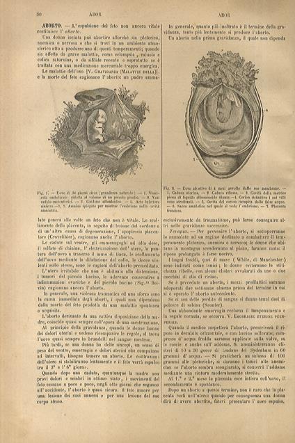 Dizionario di medicina e di terapeutica medica e chirurgica contenente (...) le indicazioni terapeutiche di ciascuna malattia, la medicina operatoria, l'oculistica, l'odontotecnica, l'otologia, l'elettroterapia, le acque minerali, ecc., ed un formula - copertina