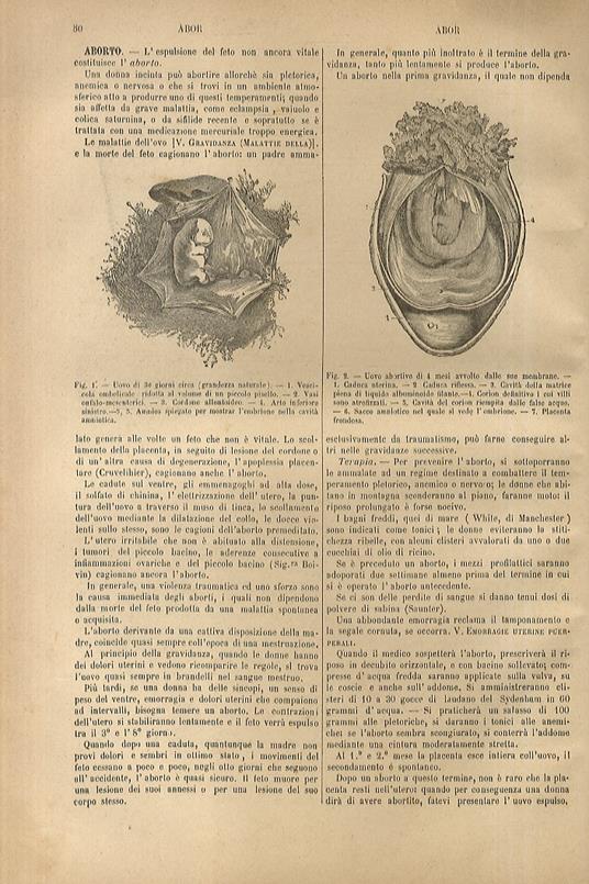 Dizionario di medicina e di terapeutica medica e chirurgica contenente (...) le indicazioni terapeutiche di ciascuna malattia, la medicina operatoria, l'oculistica, l'odontotecnica, l'otologia, l'elettroterapia, le acque minerali, ecc., ed un formula - copertina