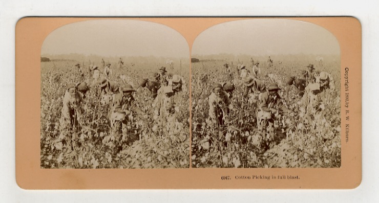 Libreria antiquaria Gozzini