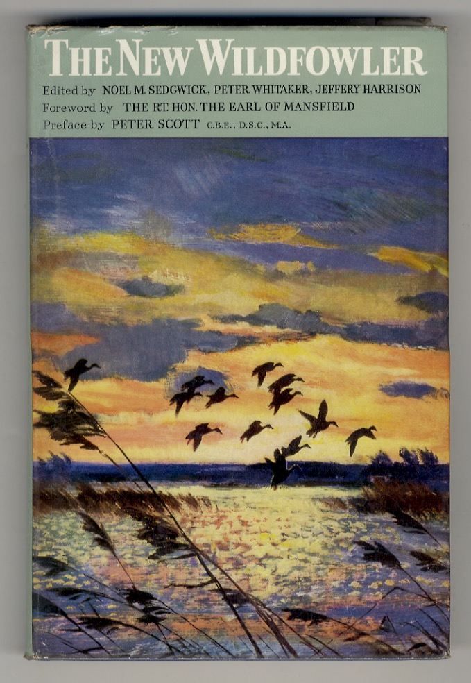 Libreria antiquaria Gozzini