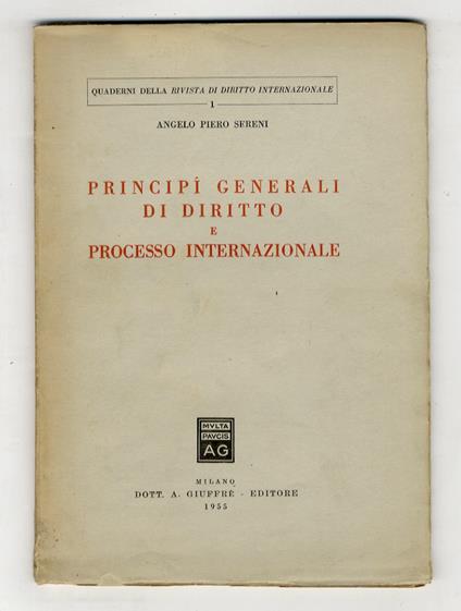 Principi generali di diritto e processo internazionale - copertina
