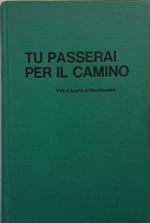 Tu passerai per il camino. Vita e morte di Mauthausen