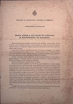 Sulla utilità e sul modo di coltivare la barbabietola da zucchero