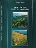 Dove crescono il grano e la ginestra