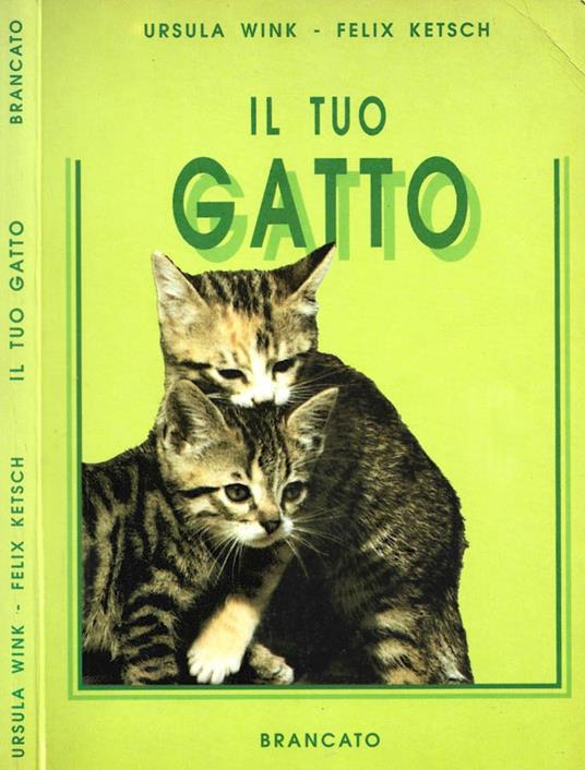Il tuo gatto - copertina