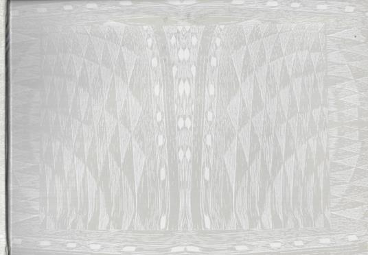 Ricercar per legno e seta - copertina