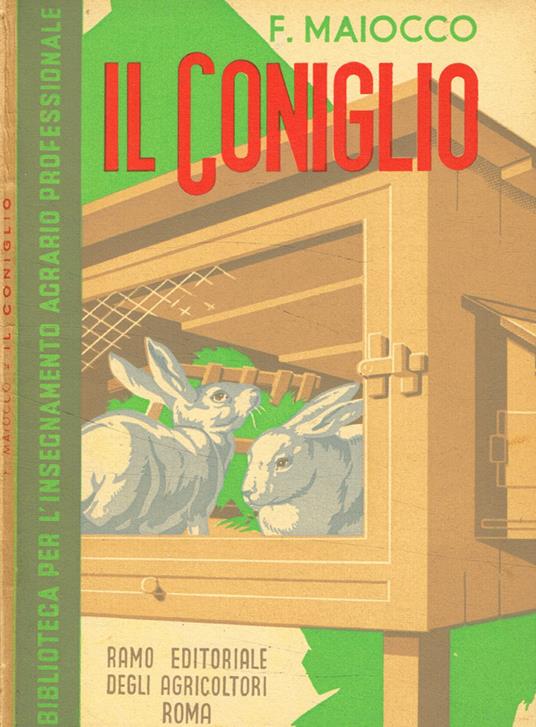 Il coniglio - Francesco Maiocco - copertina