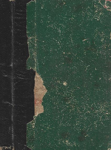 Reietto e redento - E. Werner - copertina