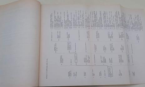 Classificazione Decimale Universale -Edizione Abbreviata Italiana- Pubbl. Fid N. 356 - 2