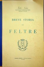 Breve storia di Feltre
