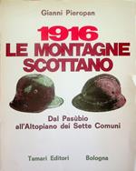 1916, le montagne scottano: dal Pasubio all'Altopiano dei Sette Comuni, 15 maggio-24 luglio 1916