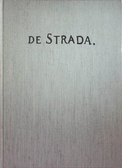 L' album fiorentino dei 'disegni artificiali' - copertina