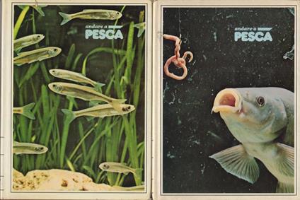 Andare a pesca - copertina