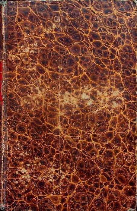 Studio Bibliografico Adige