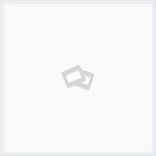 Hispania Antiqua - Bartolomeo Borghi - copertina