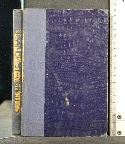 Il Nomade - Giuseppe Luongo - copertina