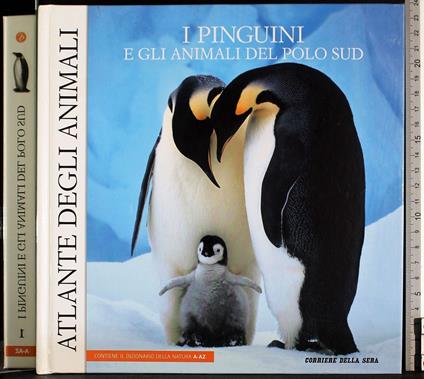 I pinguini e gli animali del polo sud - Angelo Mojetta - copertina