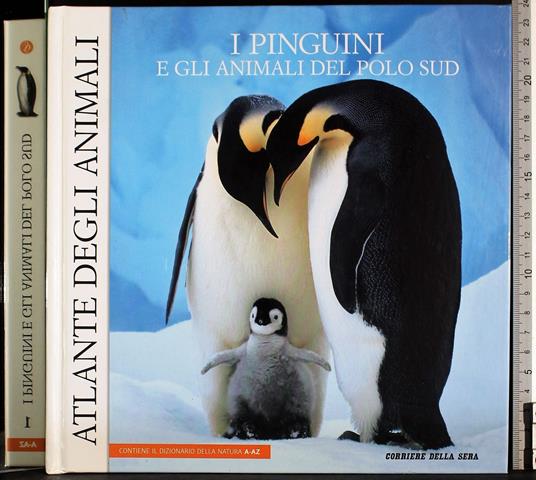 I pinguini e gli animali del polo sud - Angelo Mojetta - copertina