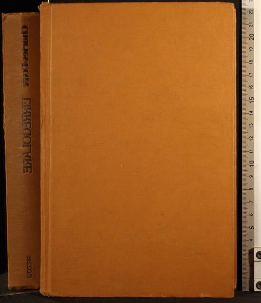 L' irregolare - Edmonde Charles-Roux - copertina