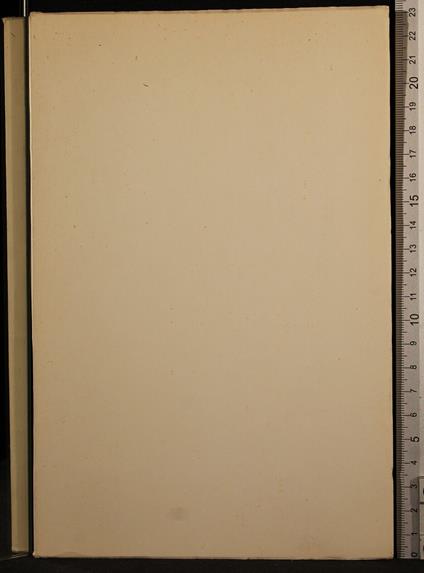 Il dono degli dei - Bruno Nardini - copertina