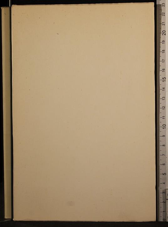 Il dono degli dei - Bruno Nardini - copertina