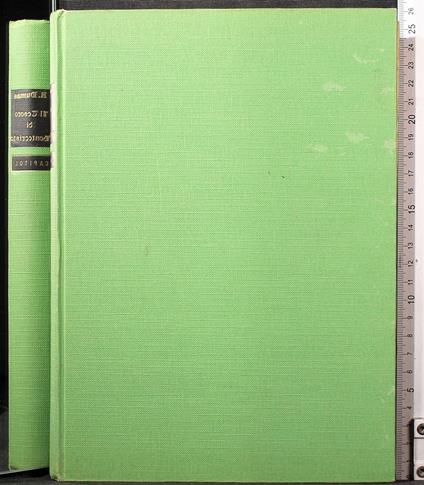 Il tesoro di Montecristo - Alexandre Dumas - copertina