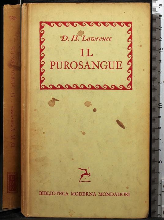 Il purosangue - David Herbert Lawrence - copertina