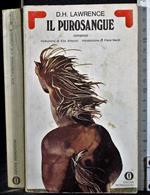 Il purosangue