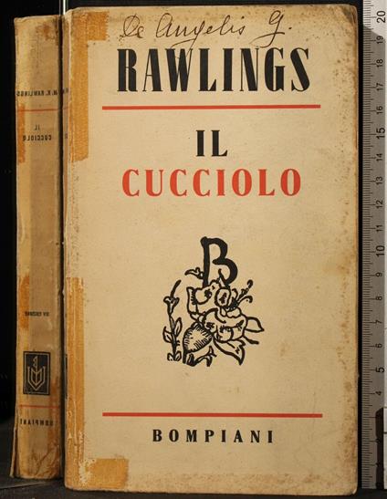 Il Cucciolo - Marjorie K. Rawlings - copertina