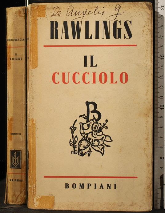Il Cucciolo - Marjorie K. Rawlings - copertina