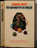 Un Sacchetto di Biglie