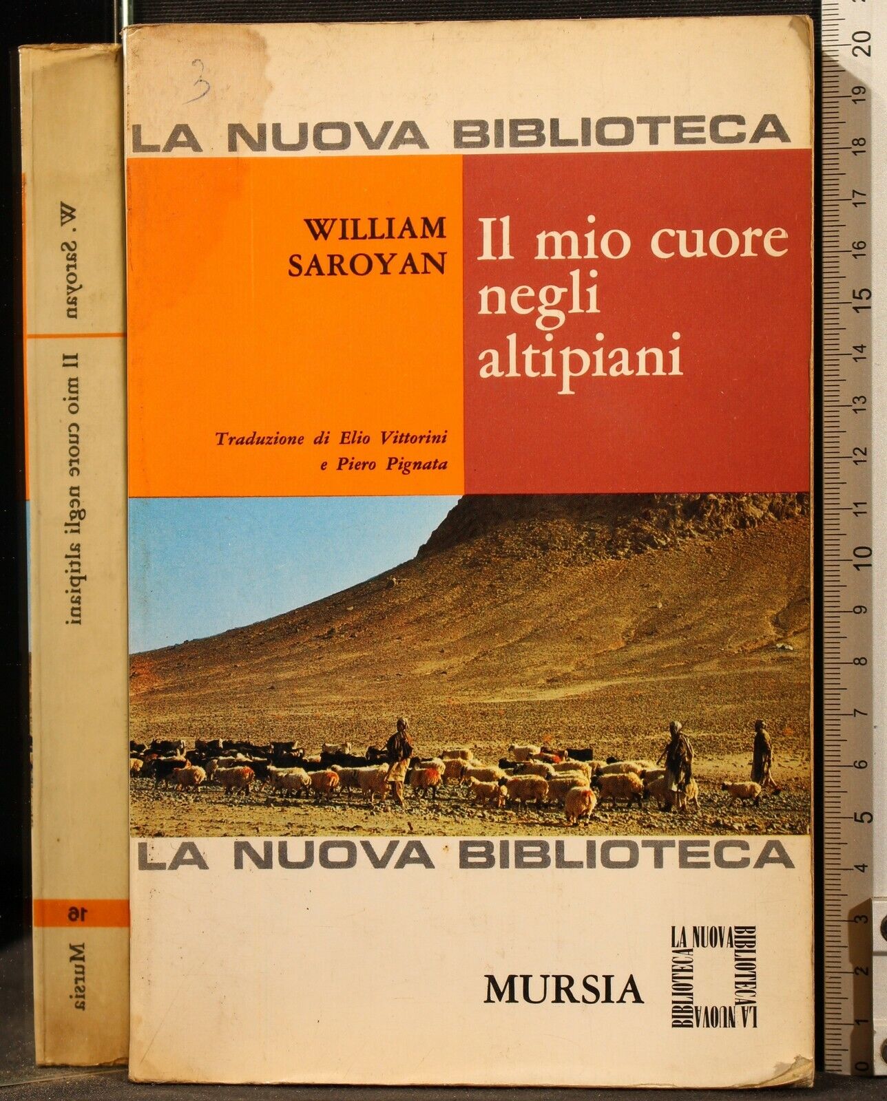 F.E.N. Libreria