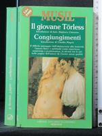Il Giovane Torless Congiungimenti